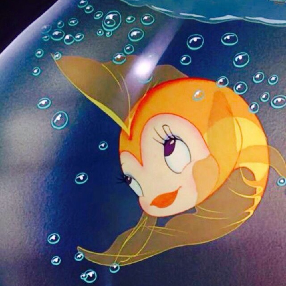 Meet your Posher, Ava